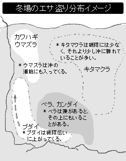 51X9EbX5SJL._UF350,350_QL80_.jpg